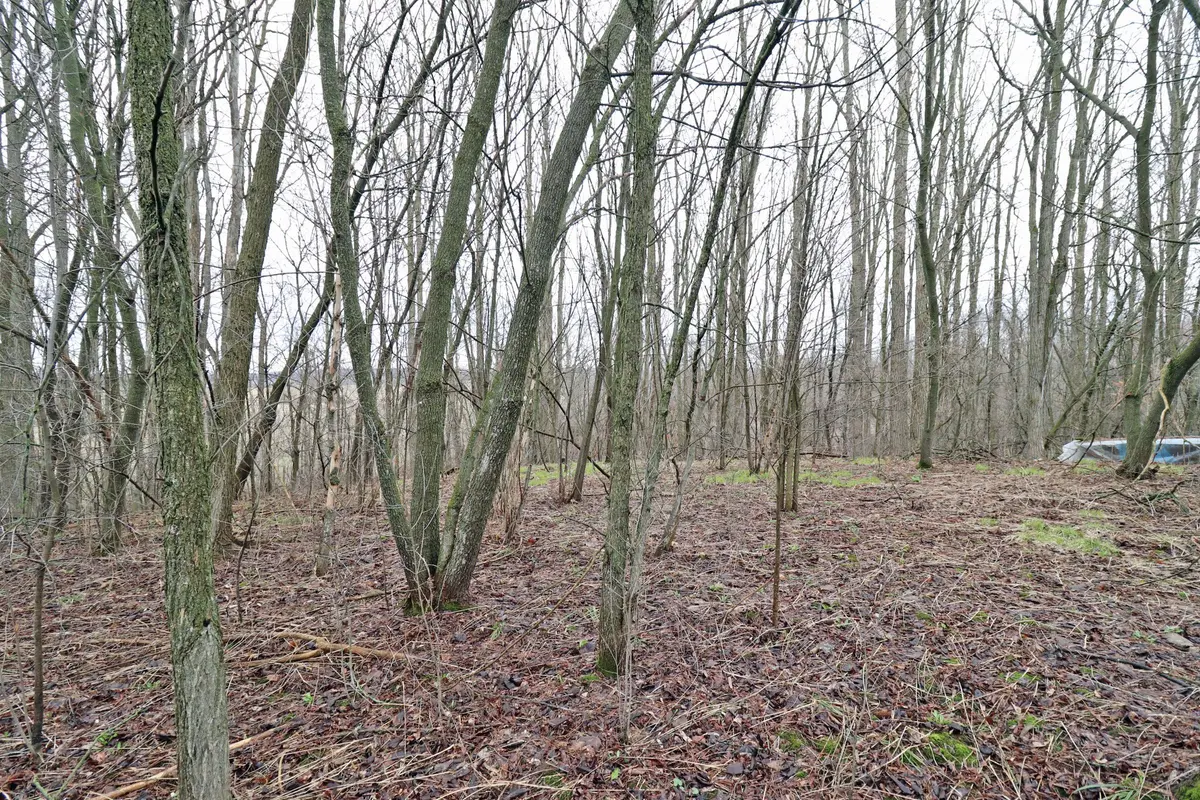 207 Goodfellow RD, Brighton, ON K0K 1R0