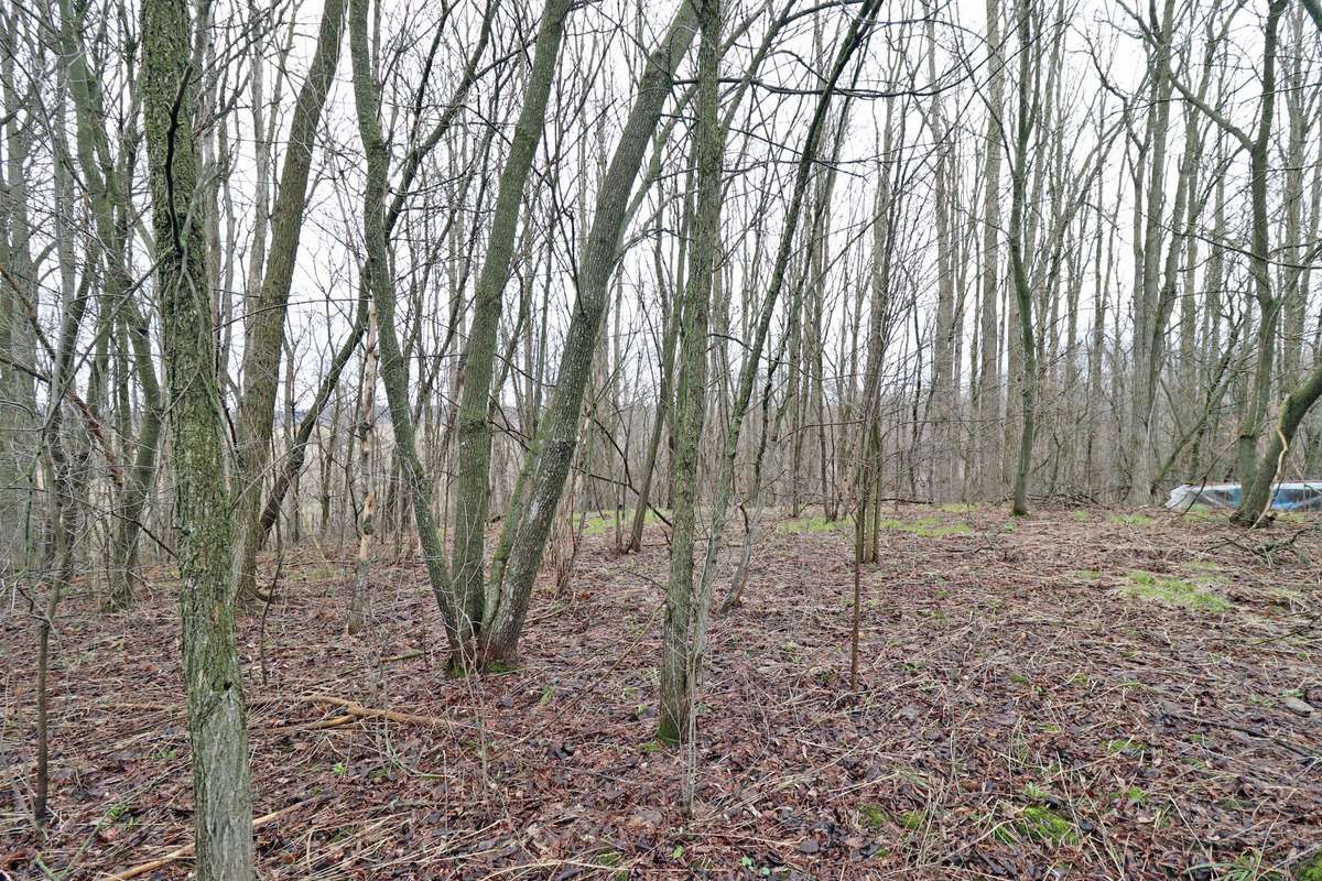 207 Goodfellow RD, Brighton, ON K0K 1R0