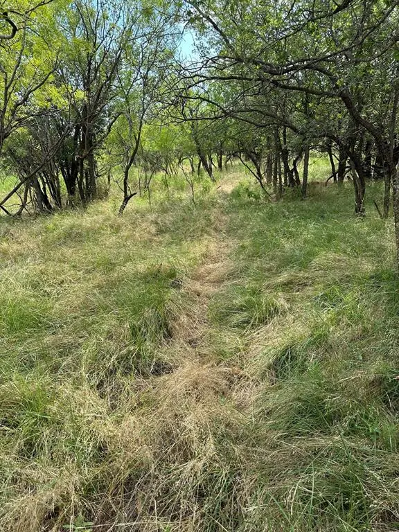 Tract 19 AC CR 150, Abilene, TX 79601