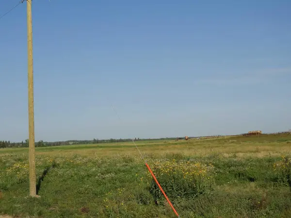 9 Country Acres, Rural Ponoka County, AB T0C 2J0