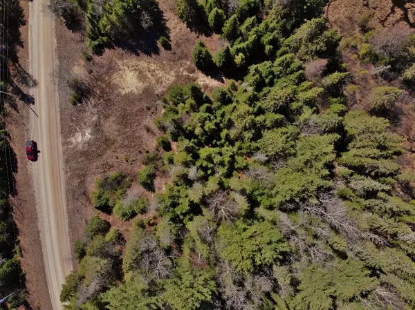 N/A Maynooth N/A, Hastings Highlands, ON K0L 2S0