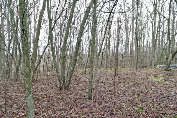 207 Goodfellow RD, Brighton, ON K0K 1R0