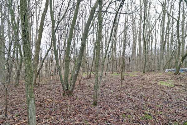 207 Goodfellow RD, Brighton, ON K0K 1R0