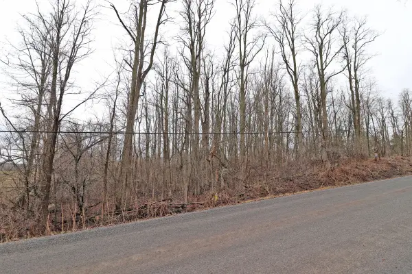 207 Goodfellow RD, Brighton, ON K0K 1R0