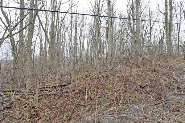 207 Goodfellow RD, Brighton, ON K0K 1R0