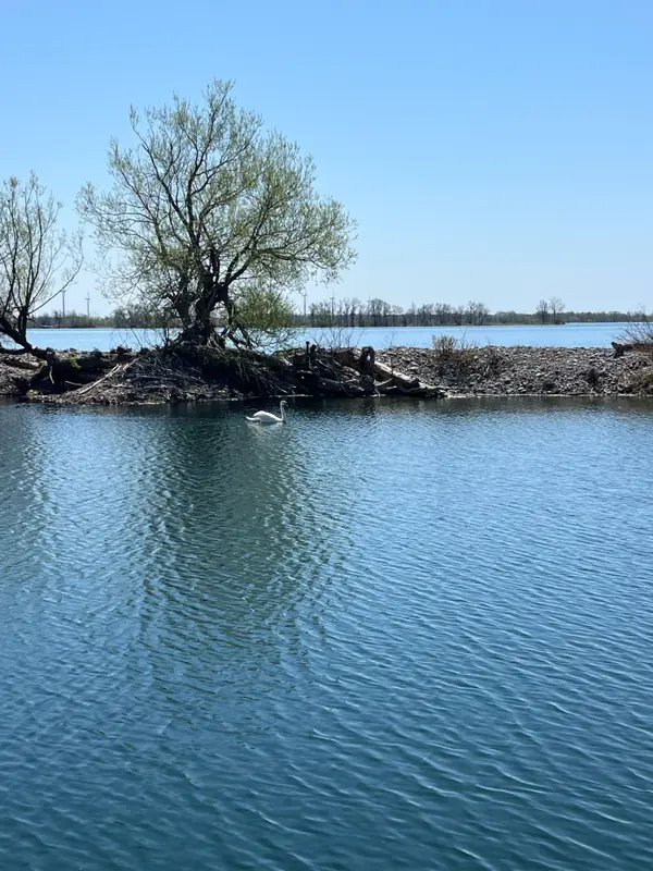 PT LT 8 Nine Mile Point RD, Frontenac Islands, ON K0H 2Y0