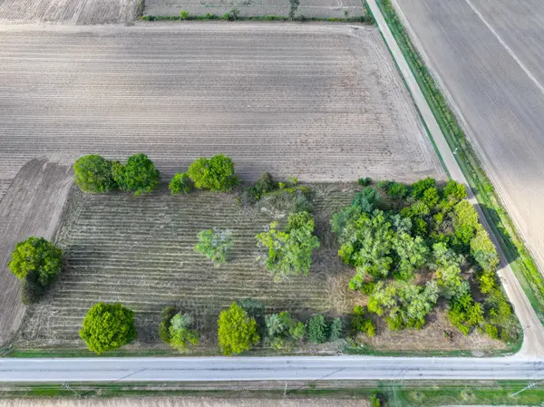 188 12TH CONCESSION RD, Brant, ON N0E 1E0