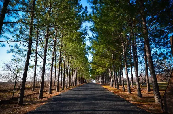 131 Lincoln Drive, Streetman, TX 75859