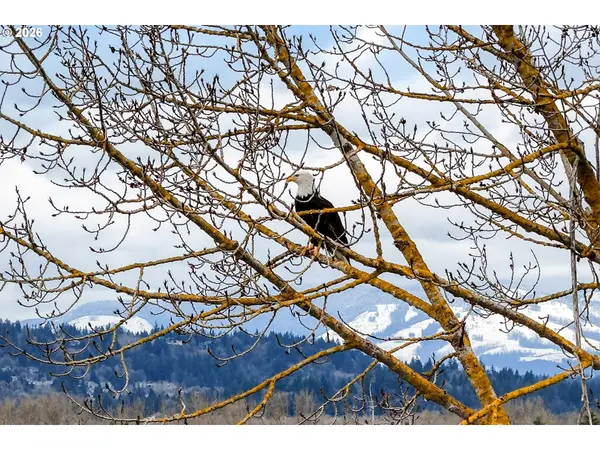 3862 NE 203RD AVE, Fairview, OR 97024