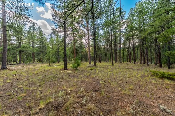 29507 Highway 67, Woodland Park, CO 80863