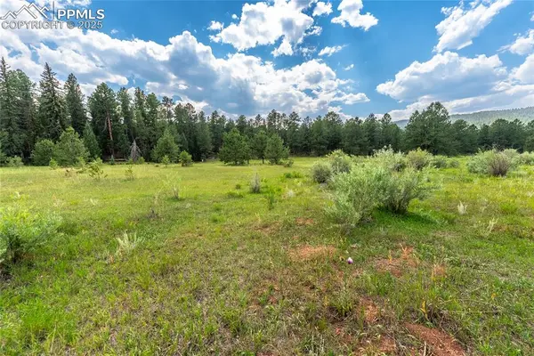 29507 Highway 67, Woodland Park, CO 80863
