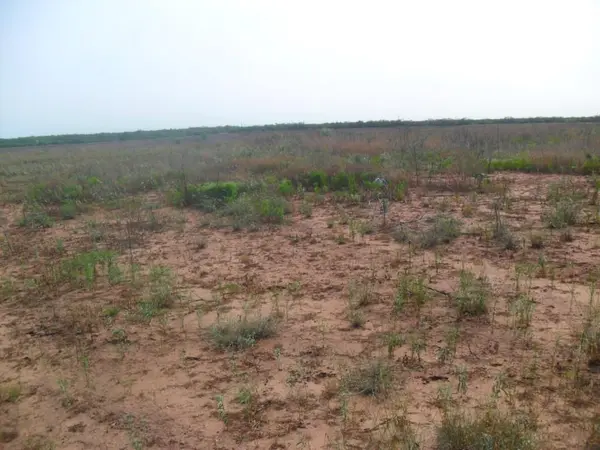 TBD fm 1750 FM 1750, Abilene, TX 79602