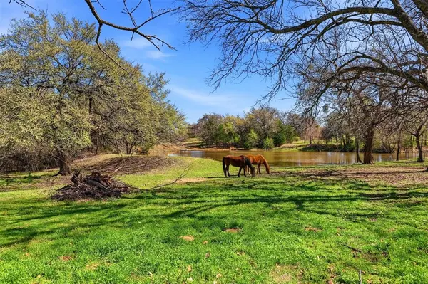 4400 Fm 3136, Coyote Flats, TX 76031