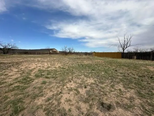 2204 Carl Street, Big Spring, TX 79720