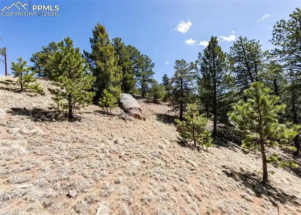 110 La Abu TRL, Florissant, CO 80816