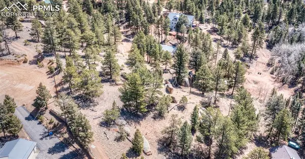 110 La Abu TRL, Florissant, CO 80816