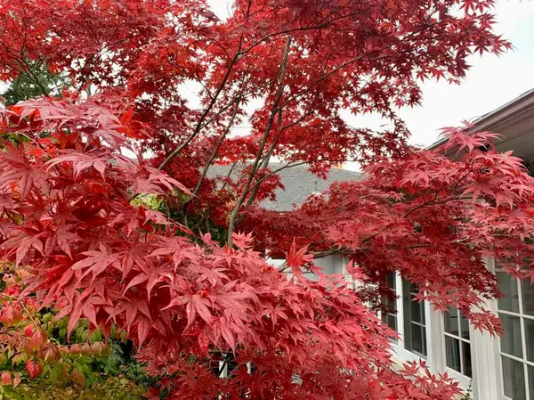 80 Bayview RDG, Toronto C12, ON M2L 1E6