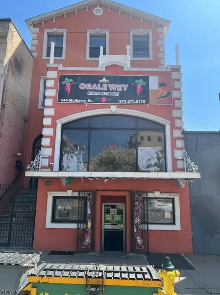 244 Mulberry St, Newark City, NJ 07102