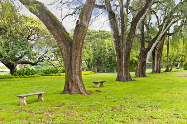 54-333 UNION MILL RD, Kapaau, HI 96755