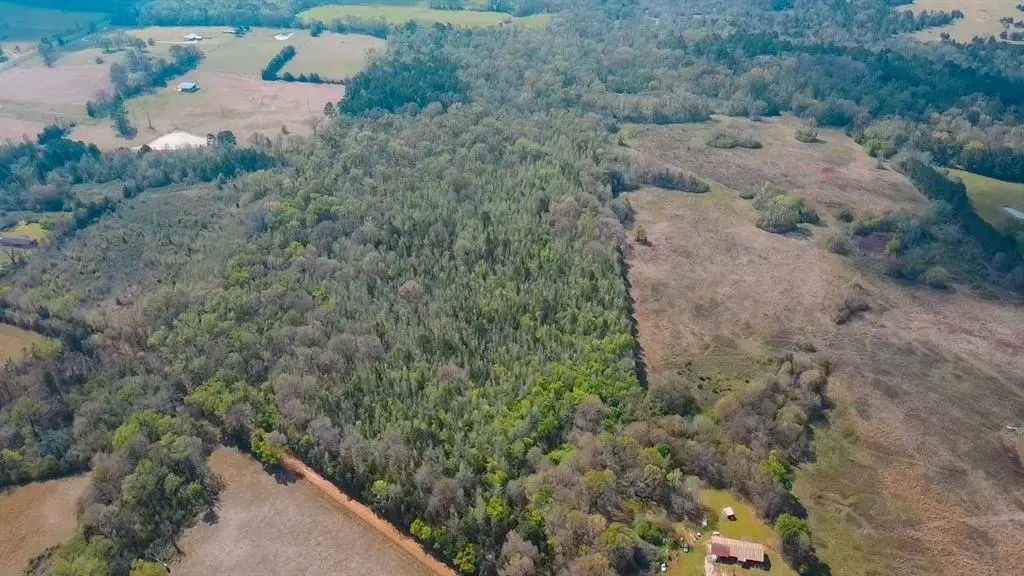 TBD CR 4308 Reno Rd, Naples, TX 75568