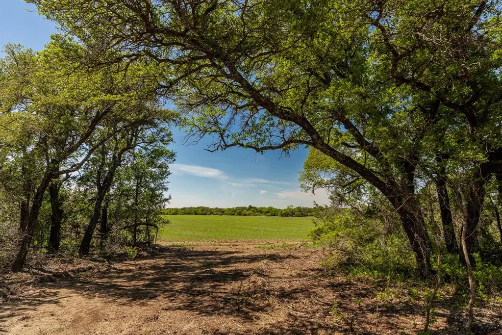 TBD C.R. 120, Coleman, TX 76834