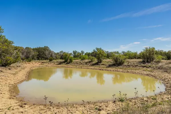 TBD C.R. 120, Coleman, TX 76834