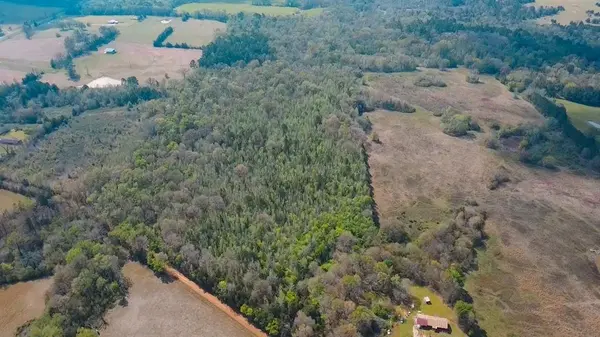 TBD CR 4308 Reno Rd, Naples, TX 75568