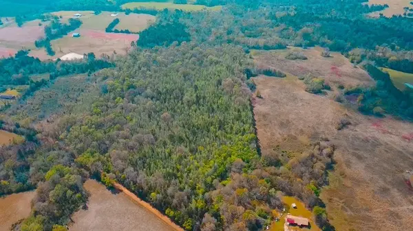 TBD CR 4308 Reno Rd, Naples, TX 75568