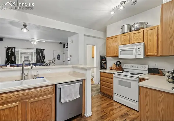 2579 Malpaso PT, Colorado Springs, CO 80922