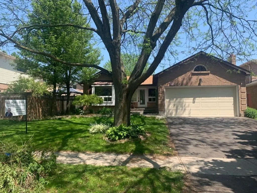 371 Selby CRES #Basement, Newmarket, ON L3Y 6E2