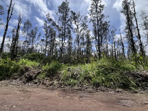 16-2096 OOAA RD, Kurtistown, HI 96760