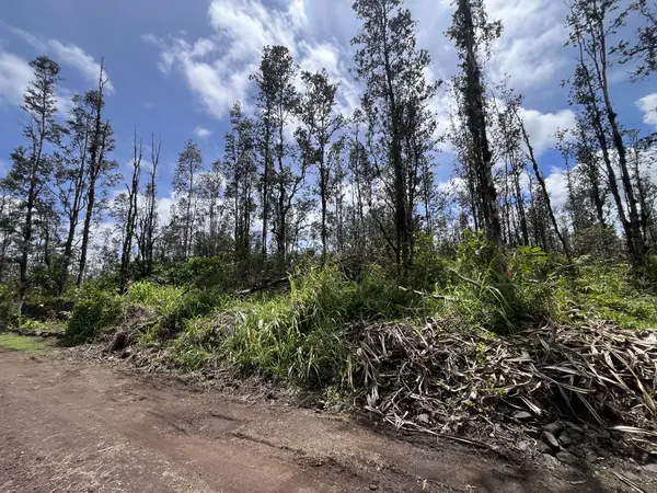 16-2096 OOAA RD, Kurtistown, HI 96760