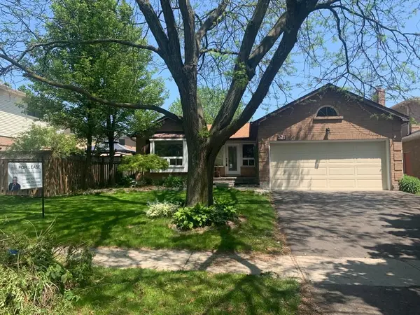 371 Selby CRES #Basement, Newmarket, ON L3Y 6E2