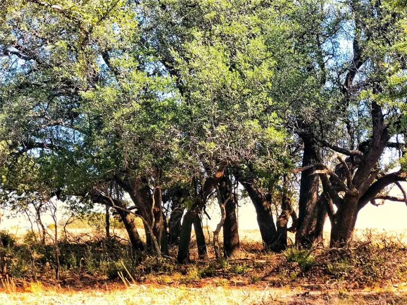 523 Ava Grace Lane, Dublin, TX 76446