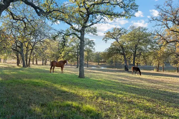 12664 Highway 199 W, Poolville, TX 76487