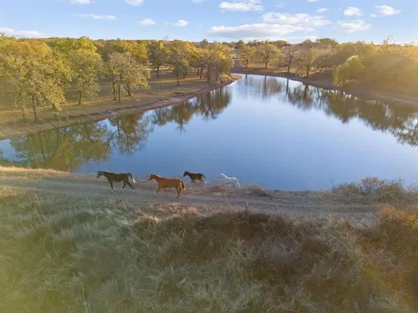 12664 Highway 199 W, Poolville, TX 76487