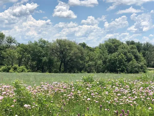 523 Ava Grace Lane, Dublin, TX 76446