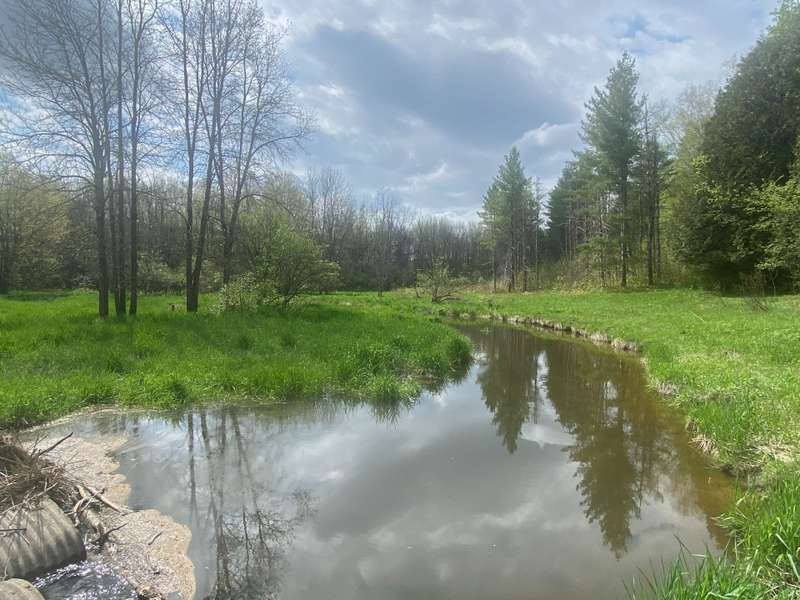 Pt Lot 13 Concession 7 Concession, Georgian Bluffs, ON N4K 5N5