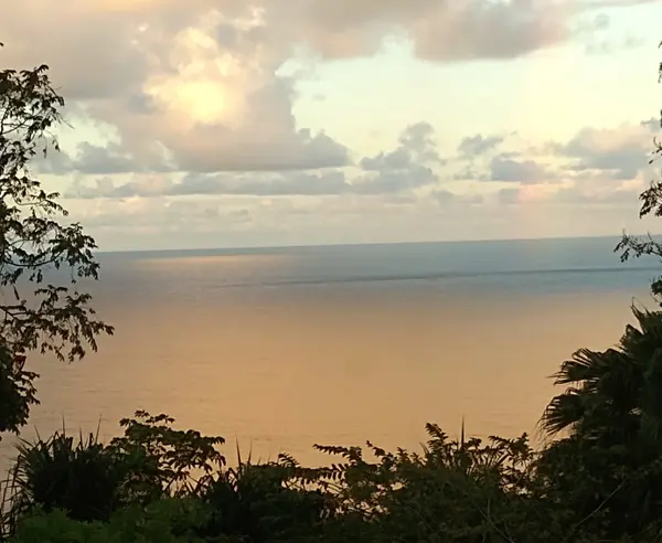 35-2064 OLD MAMALAHOA HIGHWAY, Laupahoehoe, HI 96764