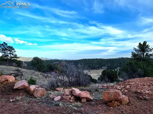 204 Pine RD, Florissant, CO 80816