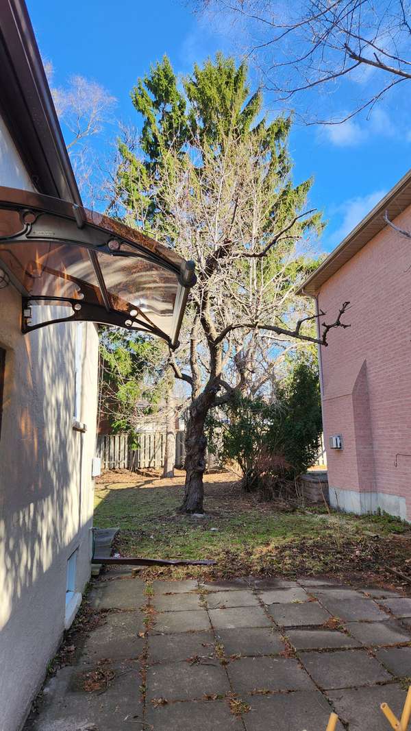 126 Olive AVE, Toronto C14, ON M2N 4P1