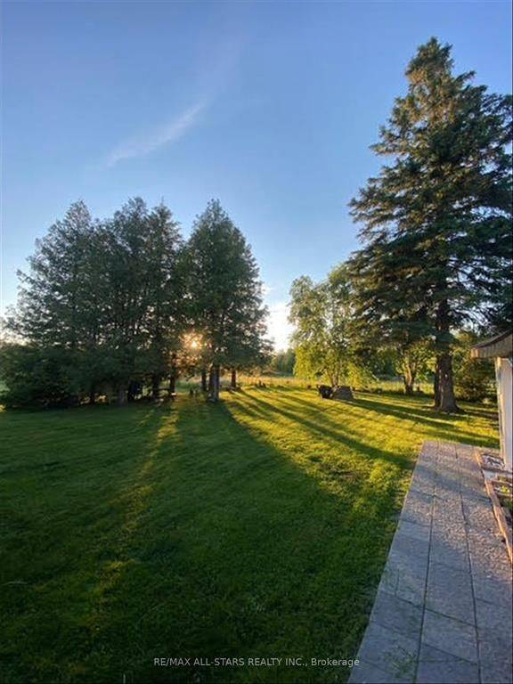 220 McGuire Beach RD, Kawartha Lakes, ON K0M 2B0