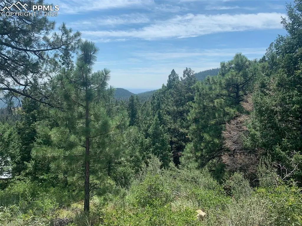 3435 Little Turkey Creek RD, Colorado Springs, CO 80926