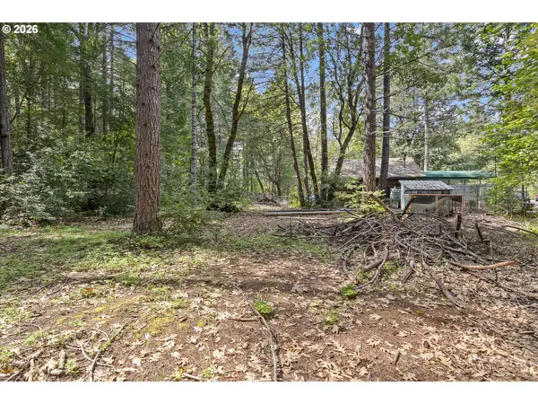 461 STAGE STOP DR, Cave Junction, OR 97523