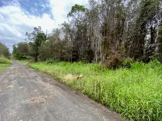 18-2278 LAULEA RD, Mountain View, HI 96771