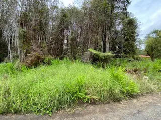 18-2278 LAULEA RD, Mountain View, HI 96771