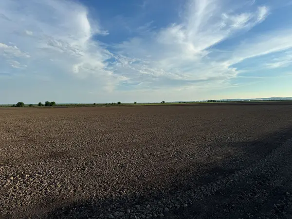 571 Ravenshoe RD, East Gwillimbury, ON L0G 1R0