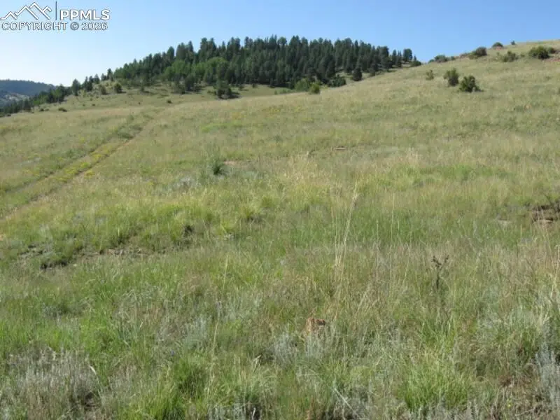 Lot 1-2 Shideler AVE, Cripple Creek, CO 80813