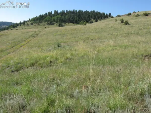Lot 1-2 Shideler AVE, Cripple Creek, CO 80813