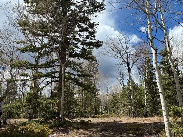 12201 S Highway 67, Cripple Creek, CO 80813